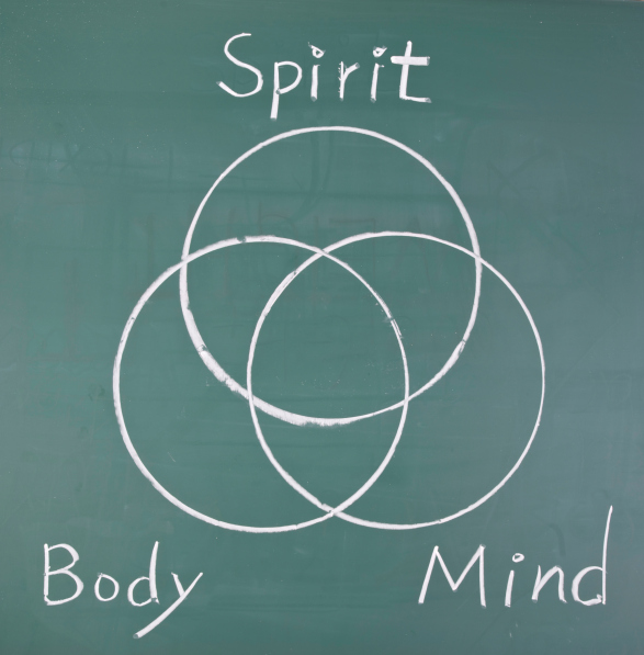 body mind psychotherapy venn diagram